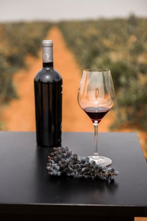 Ruta del vino de La Mancha. Una escapada esencial desde Madrid