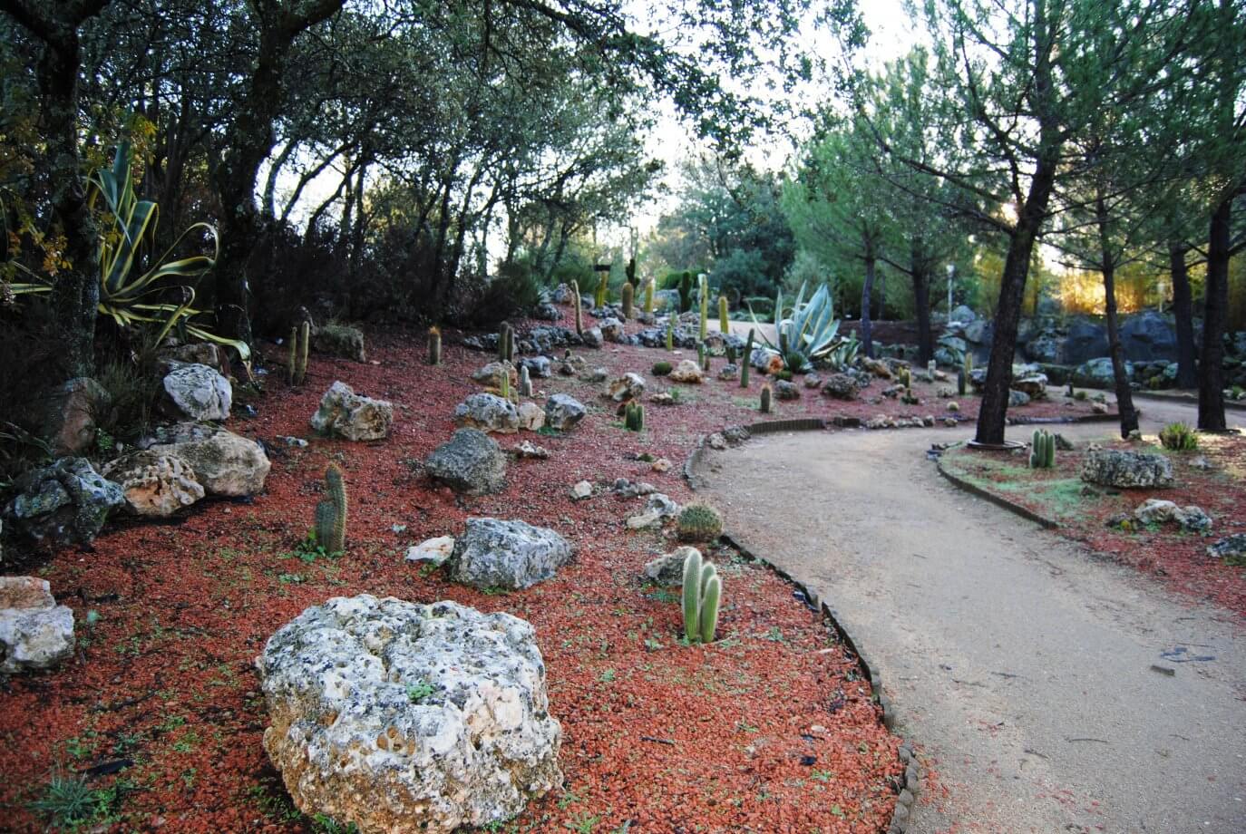El Bosque Encantado Guía del ocio