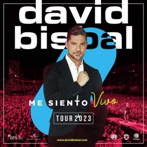 David Bisbal dará en diciembre un concierto en Bélgica