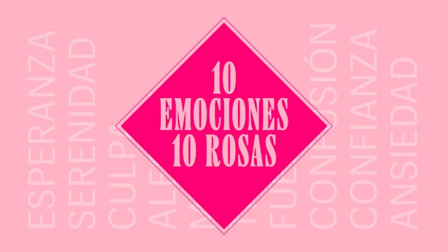 «10 emociones 10 rosas», una exposición sobre las distintas emociones vinculadas con el cáncer de mama
