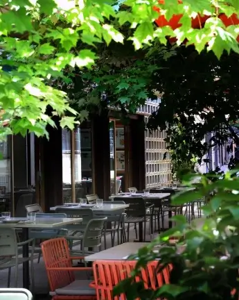 Bosco de Lobos, el jardín escondido en el Colegio de Arquitectos de Madrid