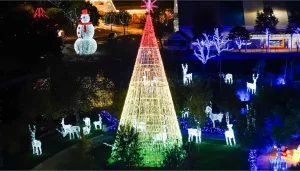 navidades mágicas