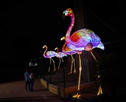 Faunia brilla en las noches de verano con más de 200 figuras iluminadas de animales