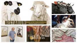 Homenaje al mundo rural con actividades para toda la familia
