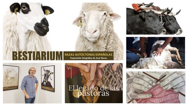 Homenaje al mundo rural con actividades para toda la familia