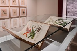 300 obras en la exposición «El sueño de la razón. Del Siglo de las Luces a la inteligencia artificial»