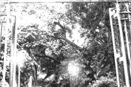 Tour de Fantasmas por Madrid: descubre los misterios de la capital