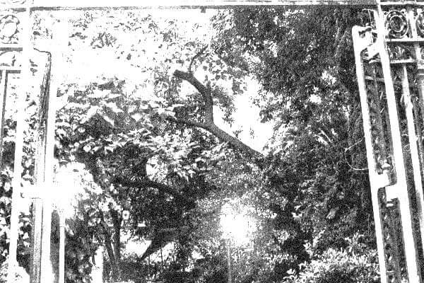 Tour de Fantasmas por Madrid: descubre los misterios de la capital