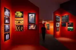 «Expresionismo. Un arte de cine»: una exposición inédita en Madrid