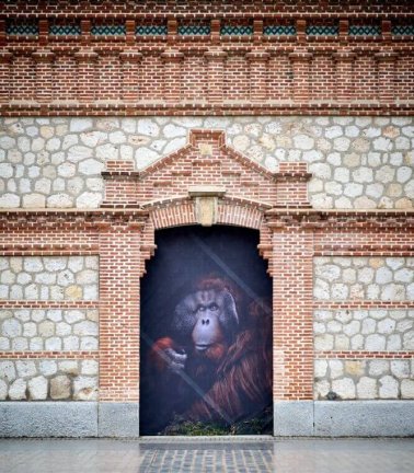 Exposición fotográfica ‘The Animals’: gran formato en la fachada de Nave 15