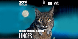 Halloween 2025 en el Zoo Aquarium de Madrid: miedo, diversión y naturaleza para toda la familia