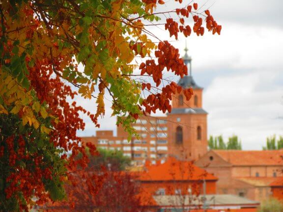 10 planes para el fin de semana en Madrid