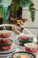 Día del Perro: tres restaurantes de Madrid para salir a comer con tu mejor amigo