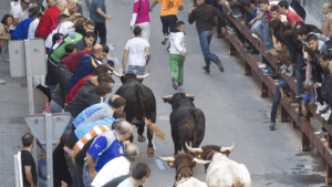 toros en las Fiestas de Boadilla