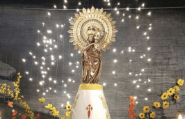 Foto de la imagen de Nuestra Señora la Virgen del Pilar